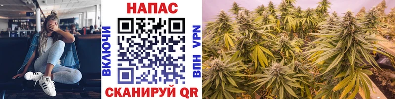 Как найти закладки Данилов Cocaine Каннабис СК Псилоцибиновые грибы Меф ГАШ