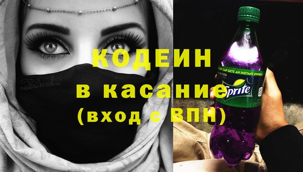 индика Алексеевка