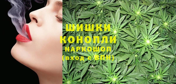 индика Алексеевка